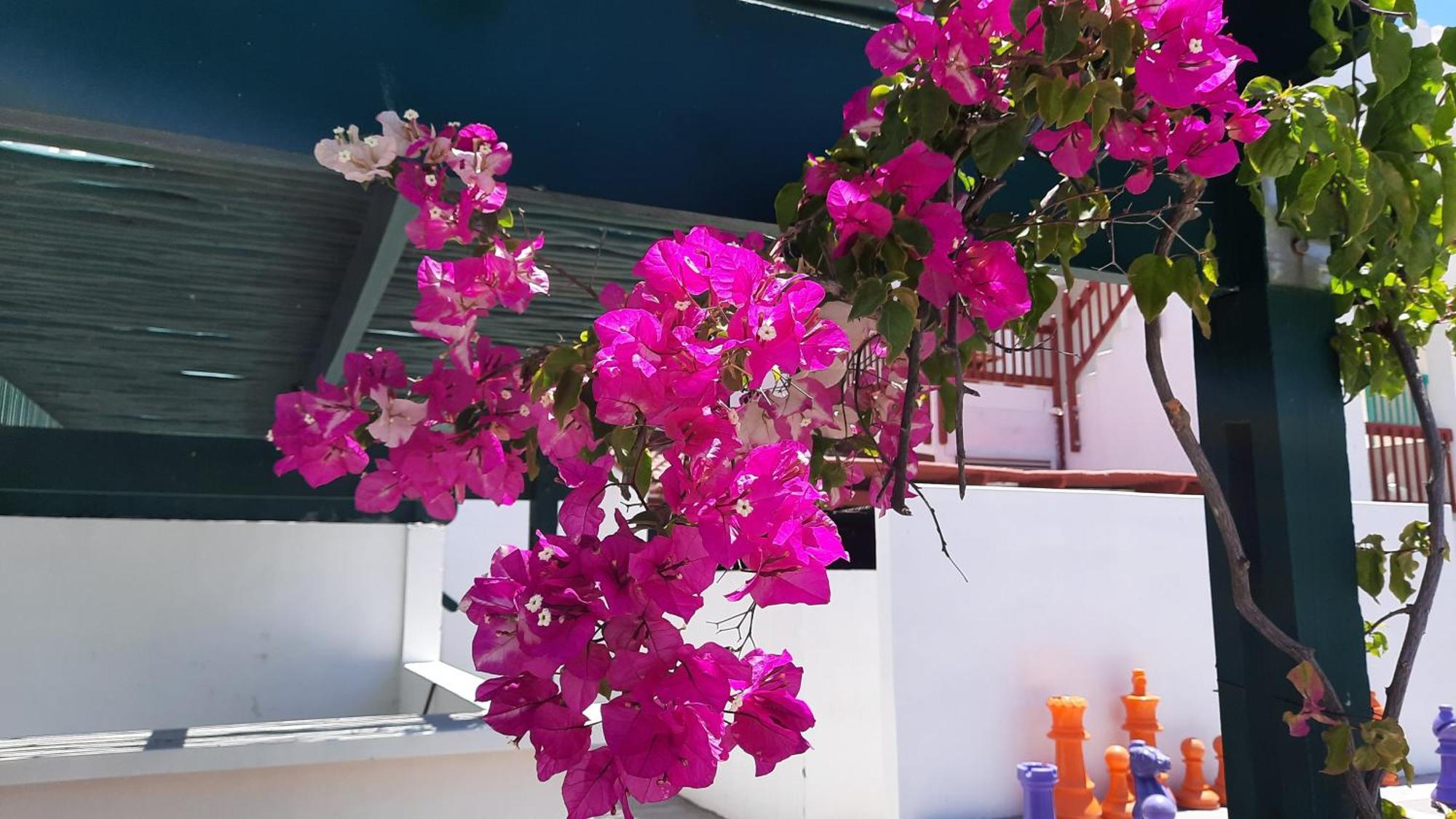 Ons Fontein Villa Langebaan Ngoại thất bức ảnh